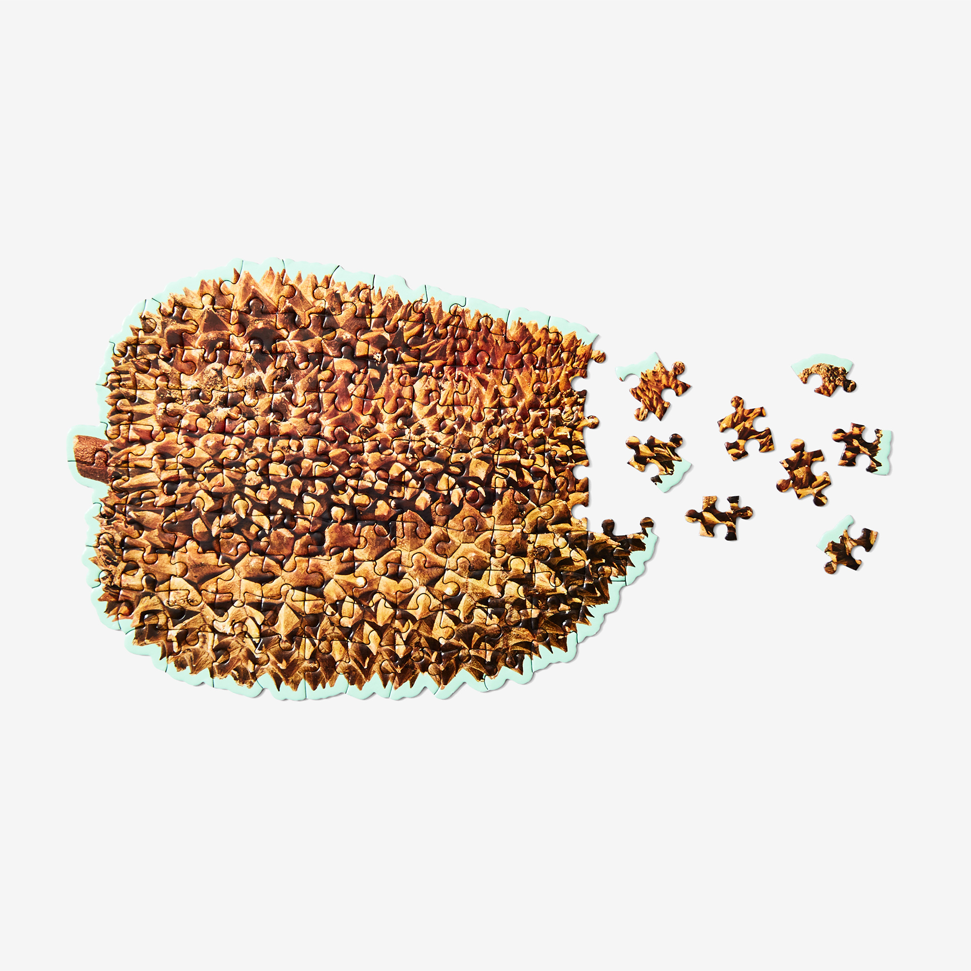 Little Puzzle Thing Durian