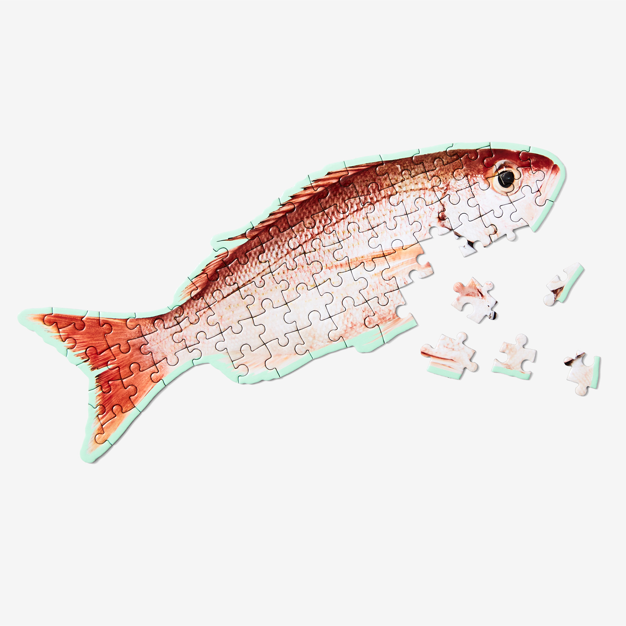 Little Puzzle Thing Fish