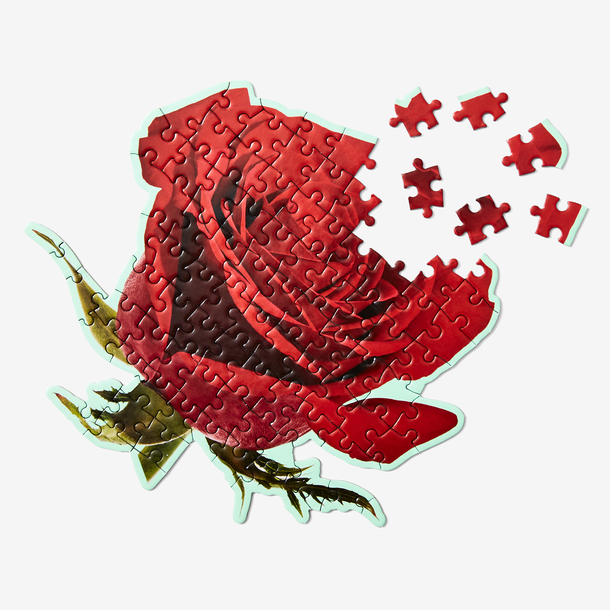 Little Puzzle Thing Rose