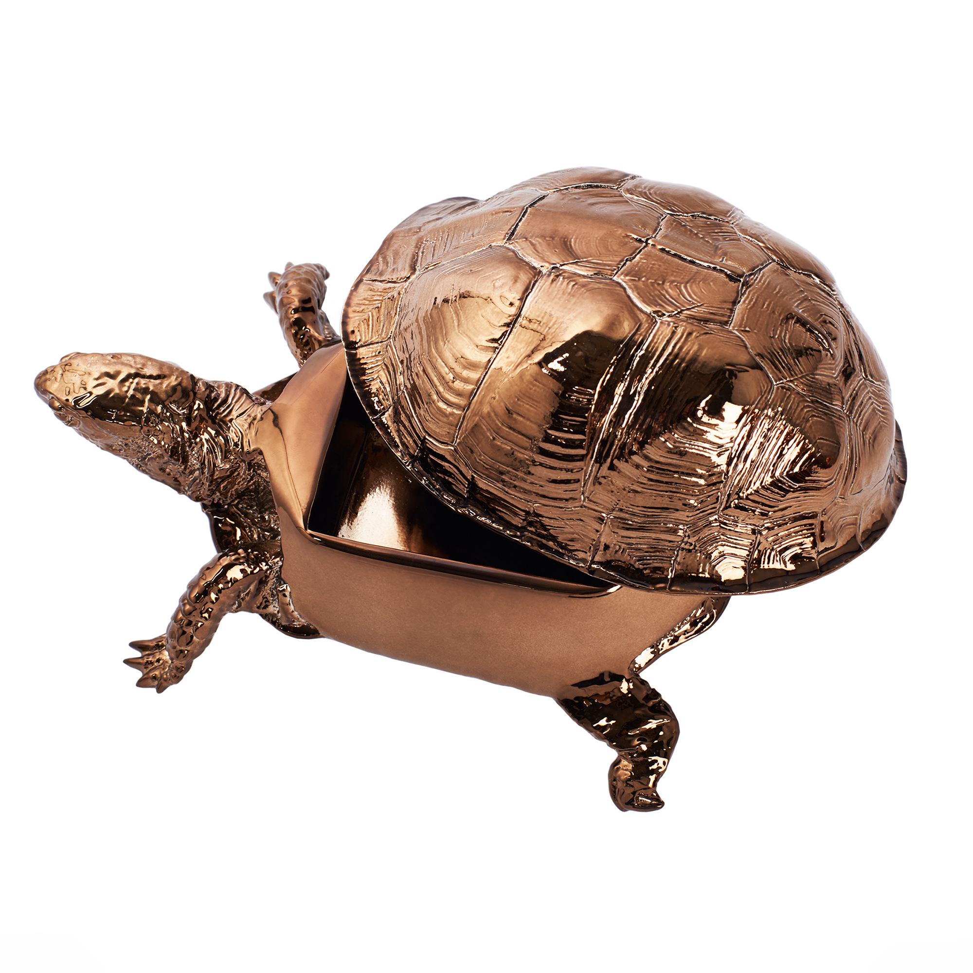 Box Turtle Box Bronze