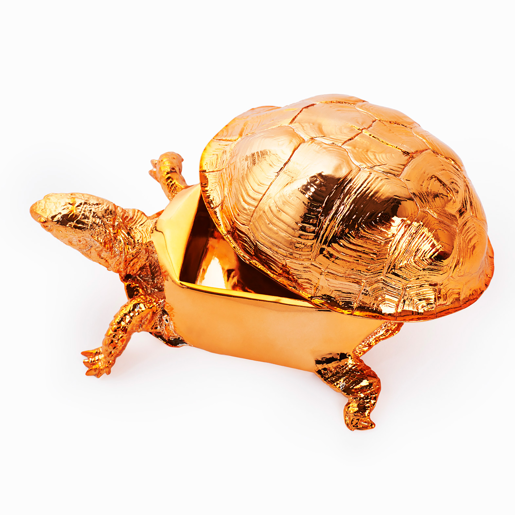 Box Turtle Box Copper