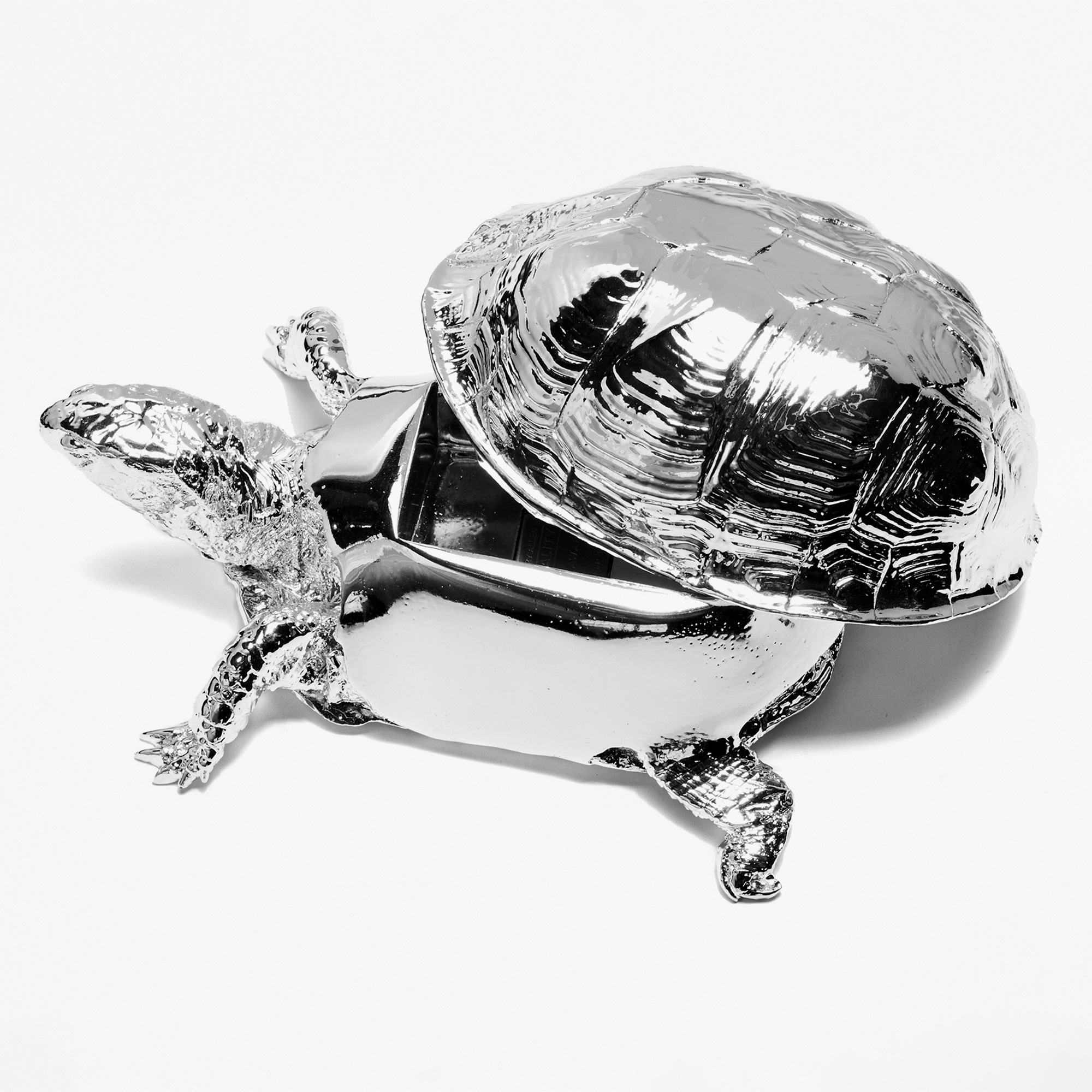 Box Turtle Box Chrome