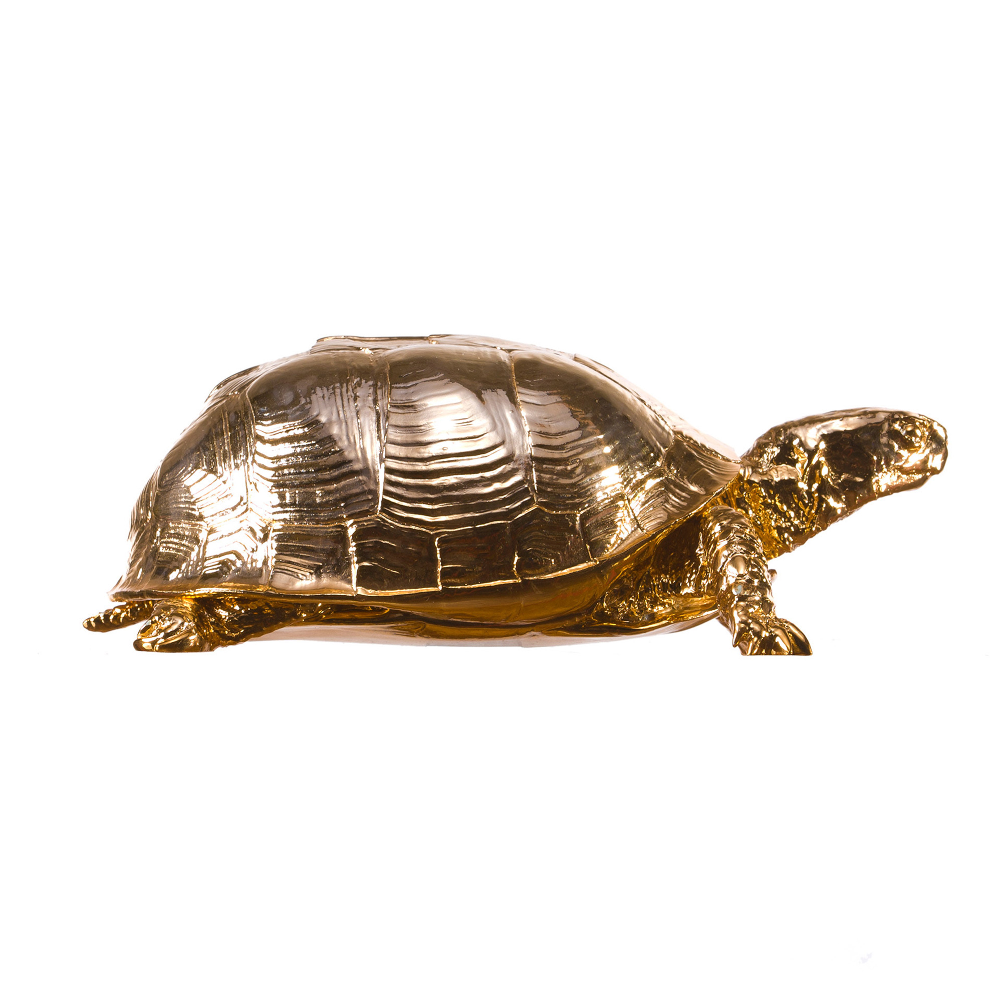 Box Turtle Box Gold