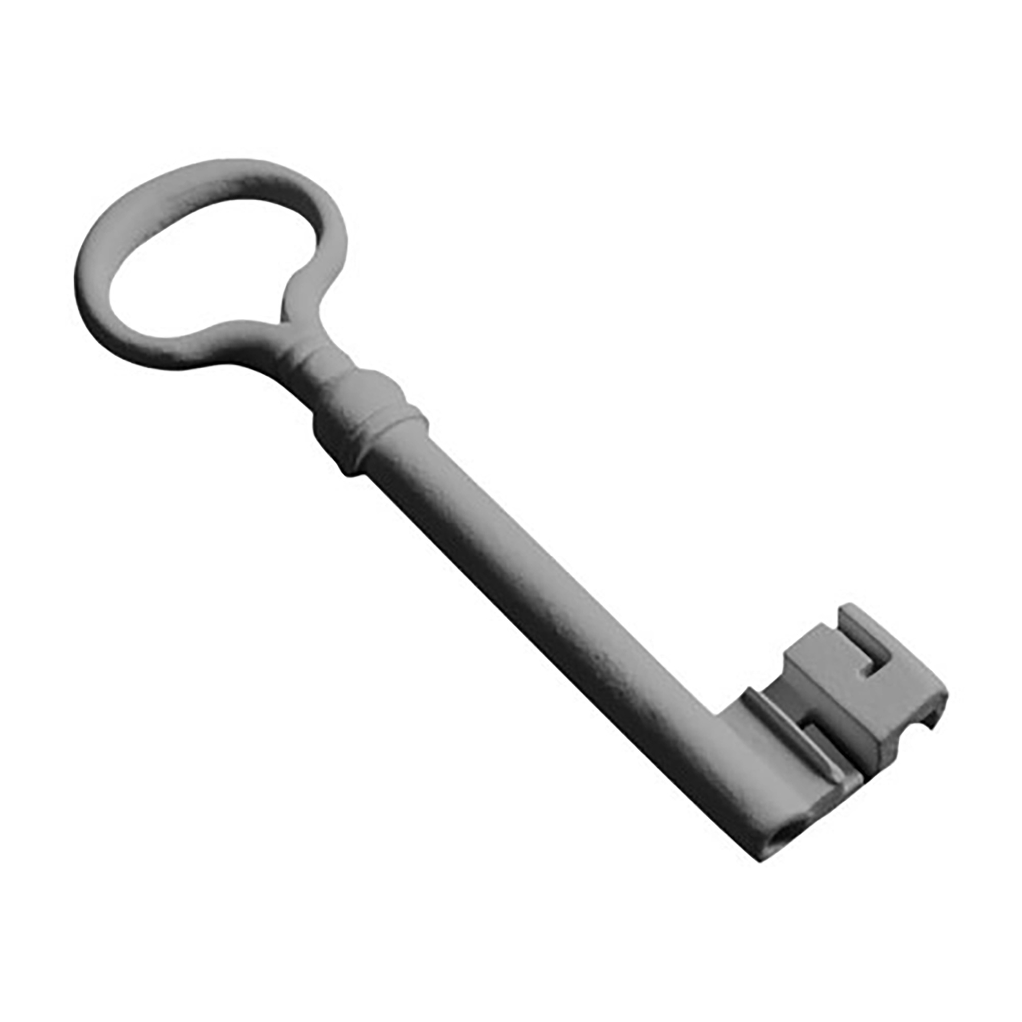 Key Keychain Gray