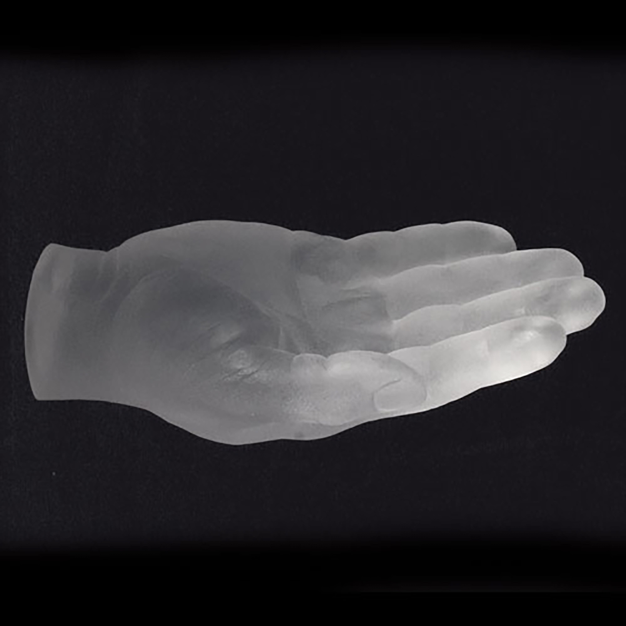 Hand Hook Offer Frosted