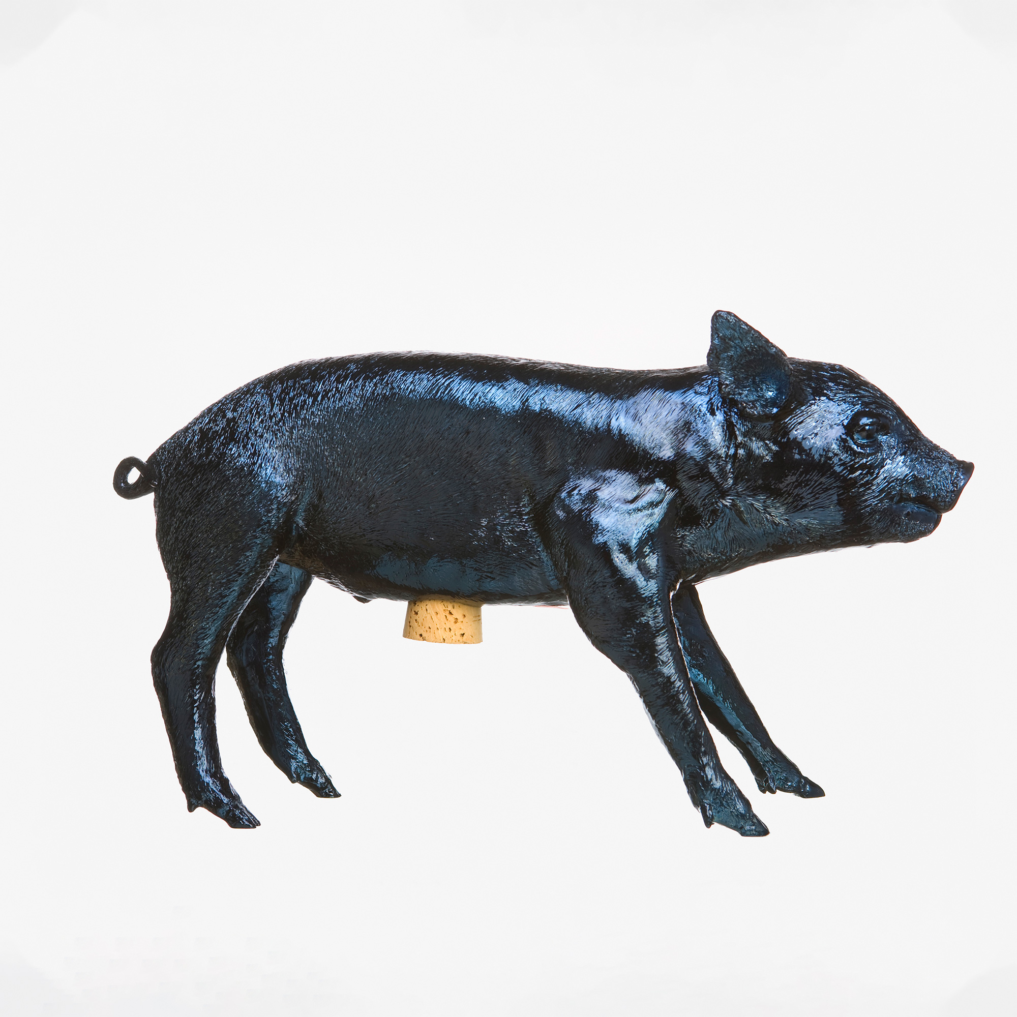 Bank in Form of Pig Navy Blue Chrome