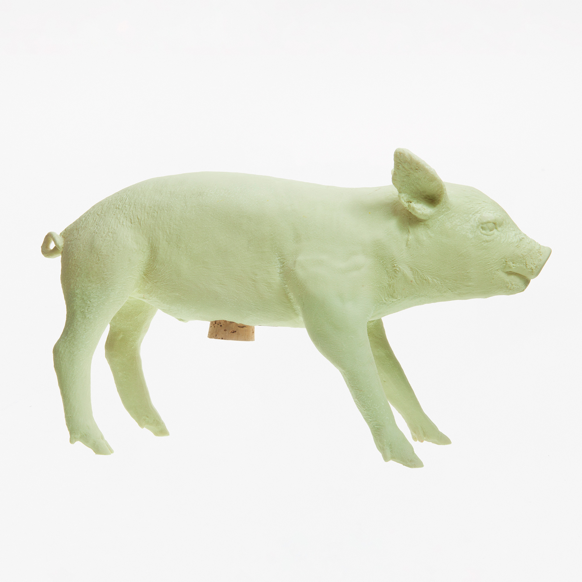 Bank in Form of Pig Glow in the Dark