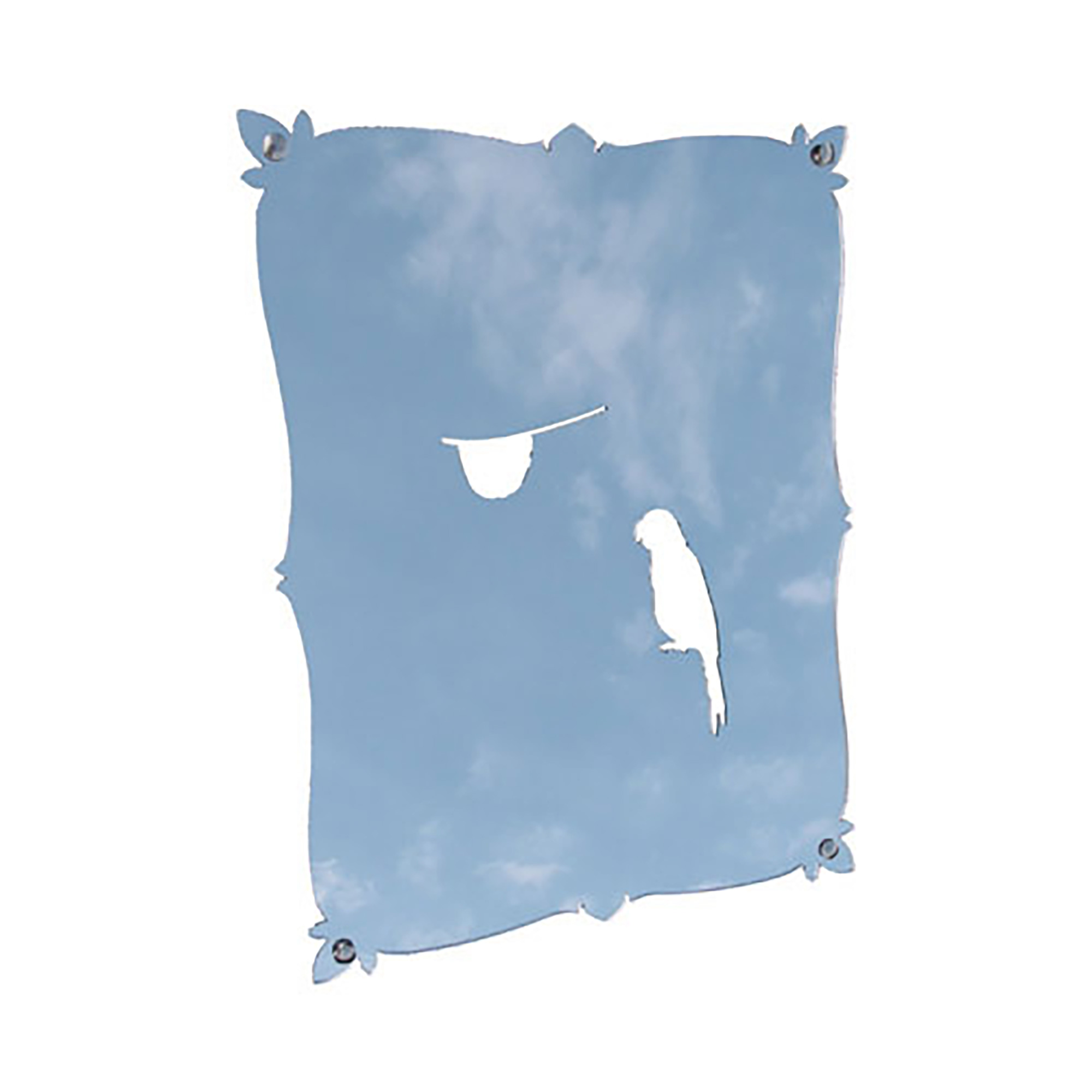 Self Portrait Mirror Pirate