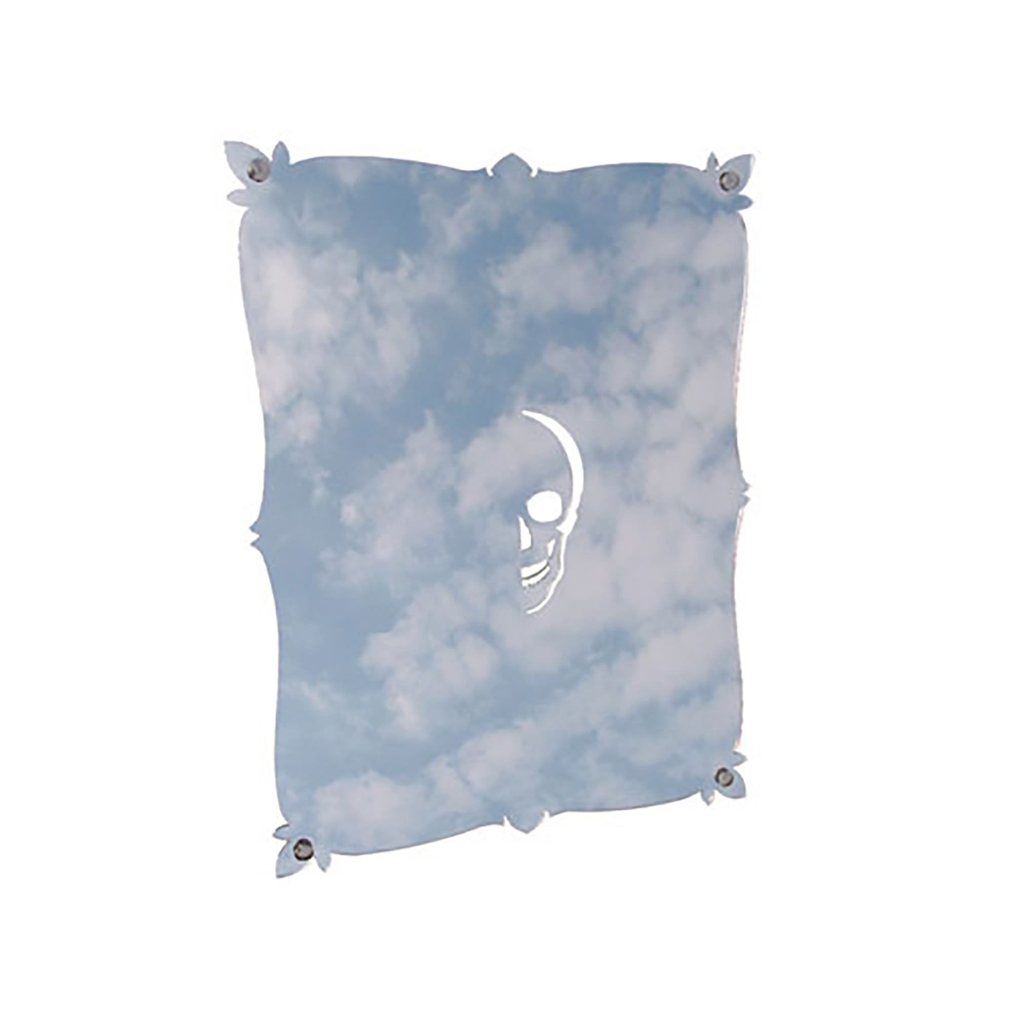 Self Portrait Mirror Skull