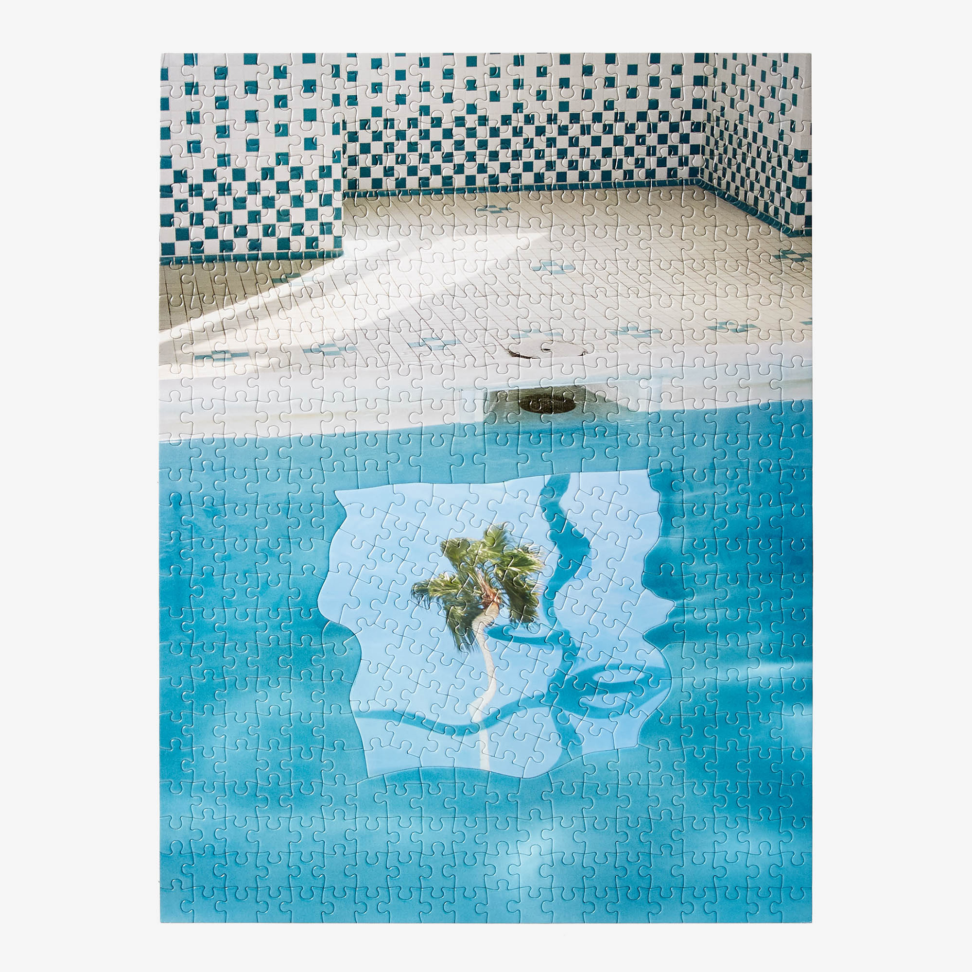 Puzzle In Puzzle Pool