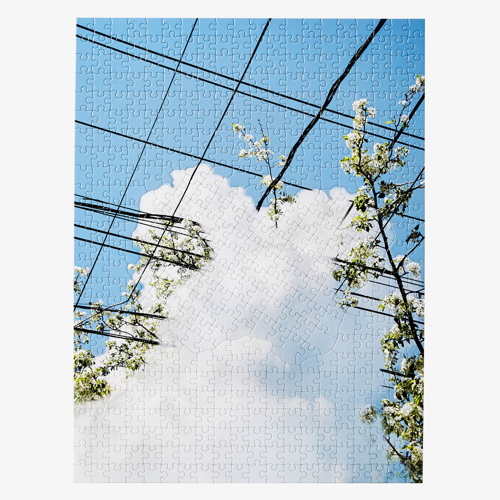 Puzzle In Puzzle Spring