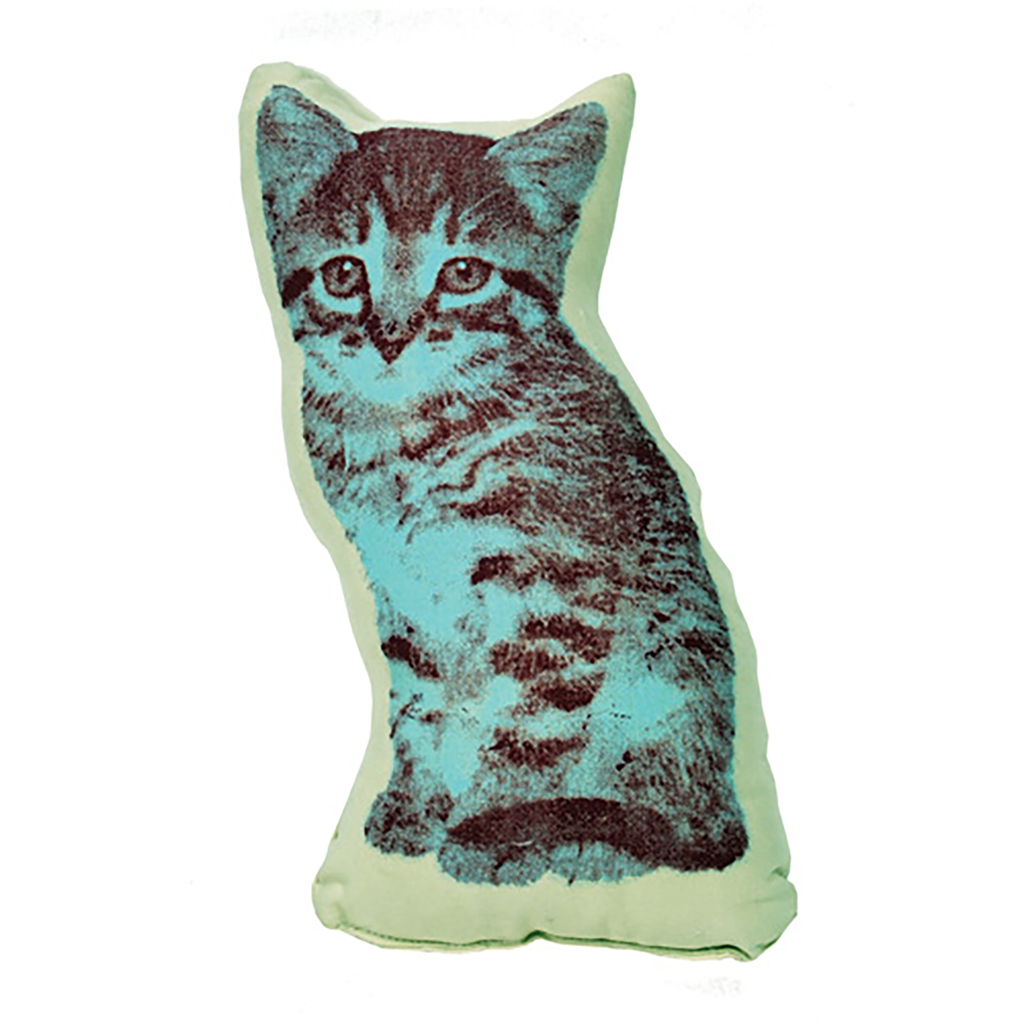 PICO Kitten Turquoise