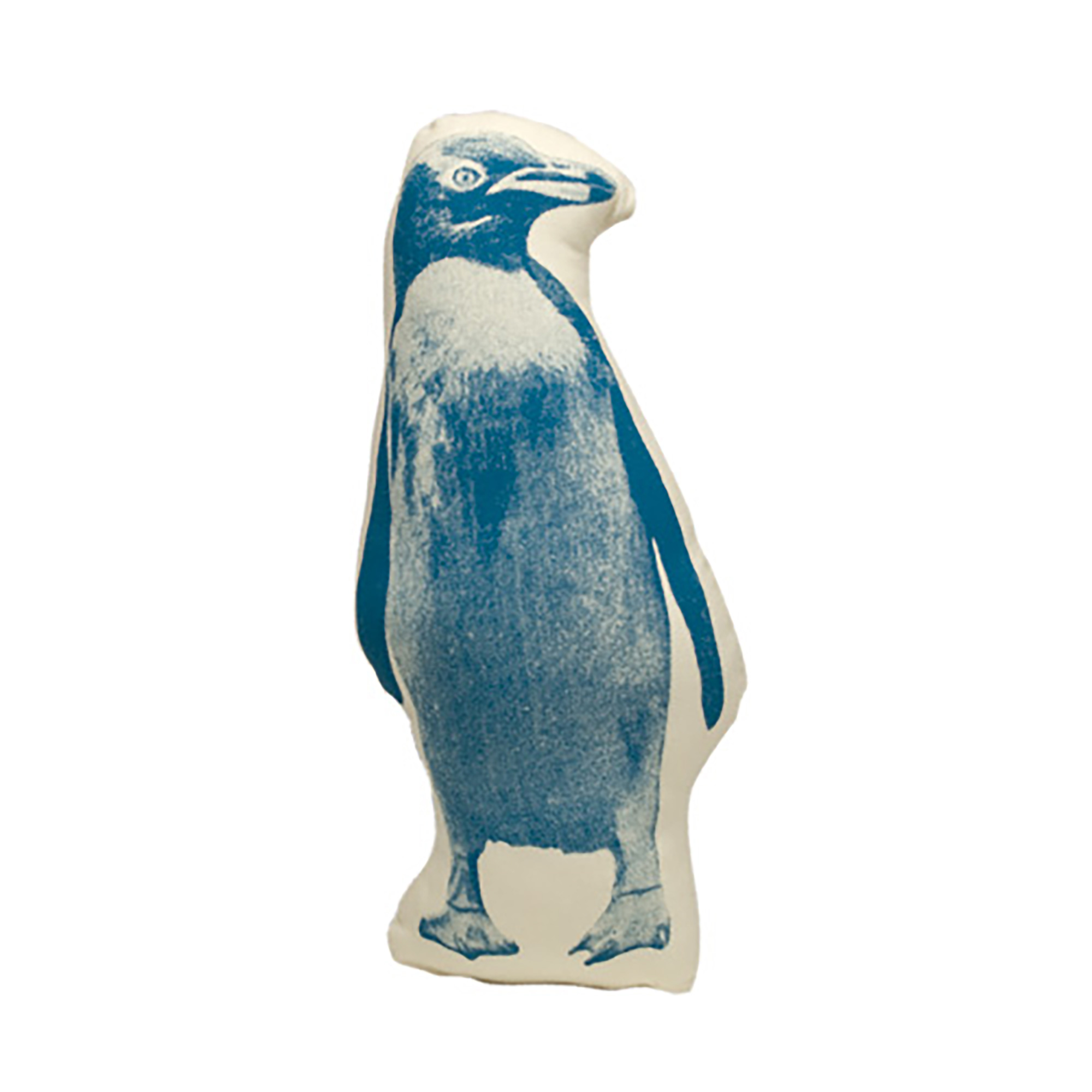 PICO Penguin Blue