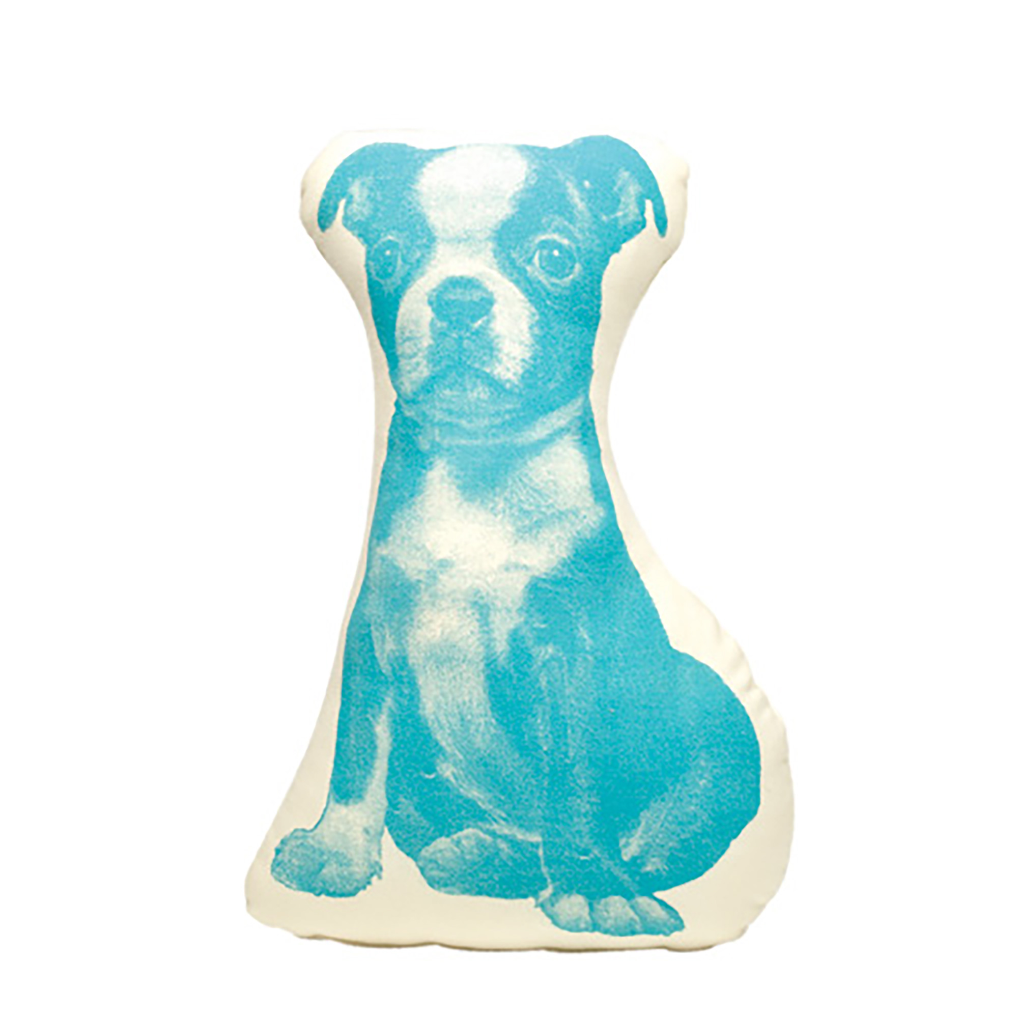 PICO Terrier Blue