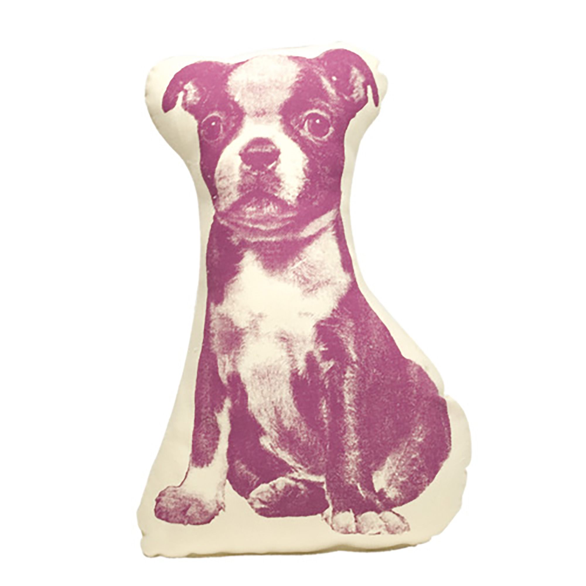 PICO Terrier Purple