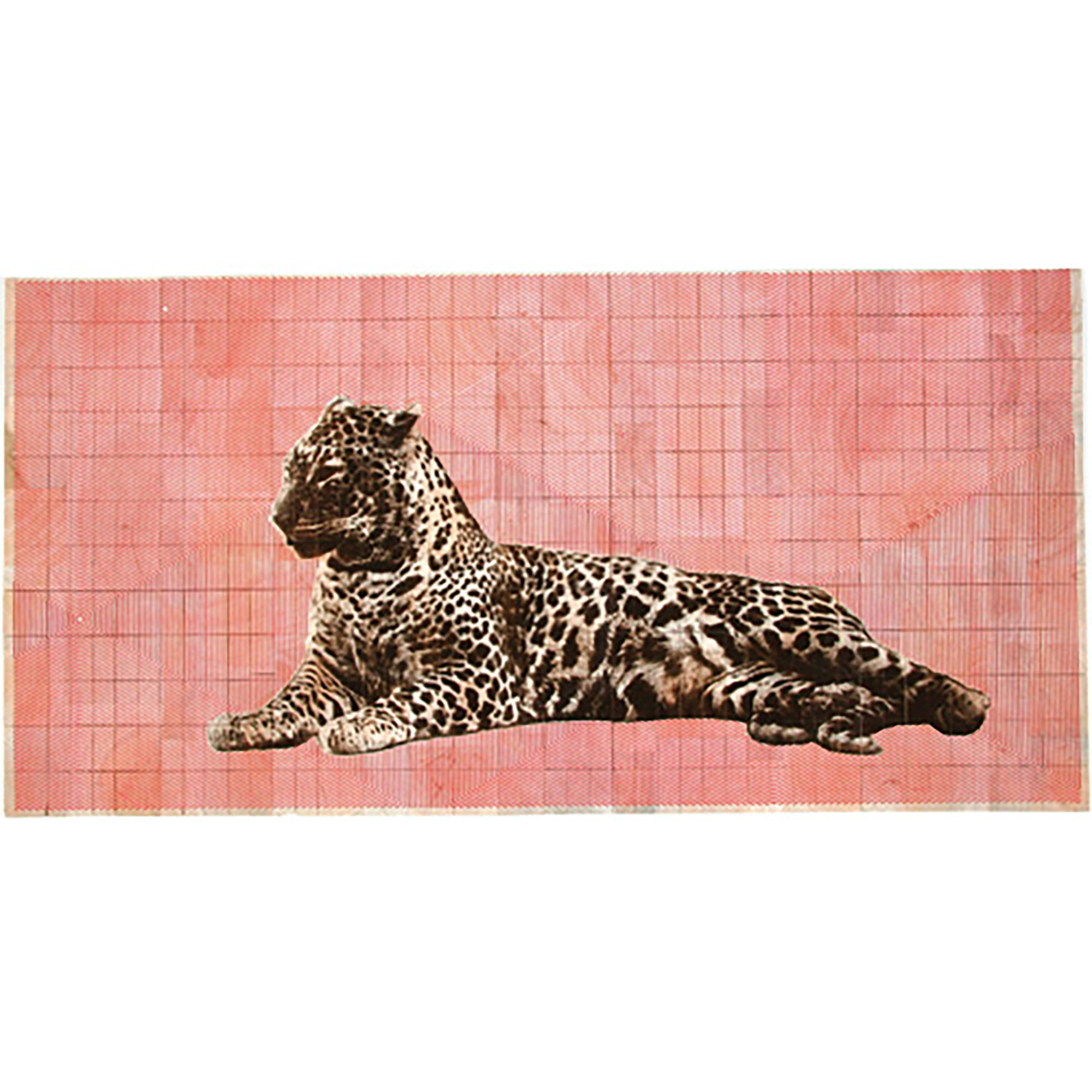 BALSA Leopard