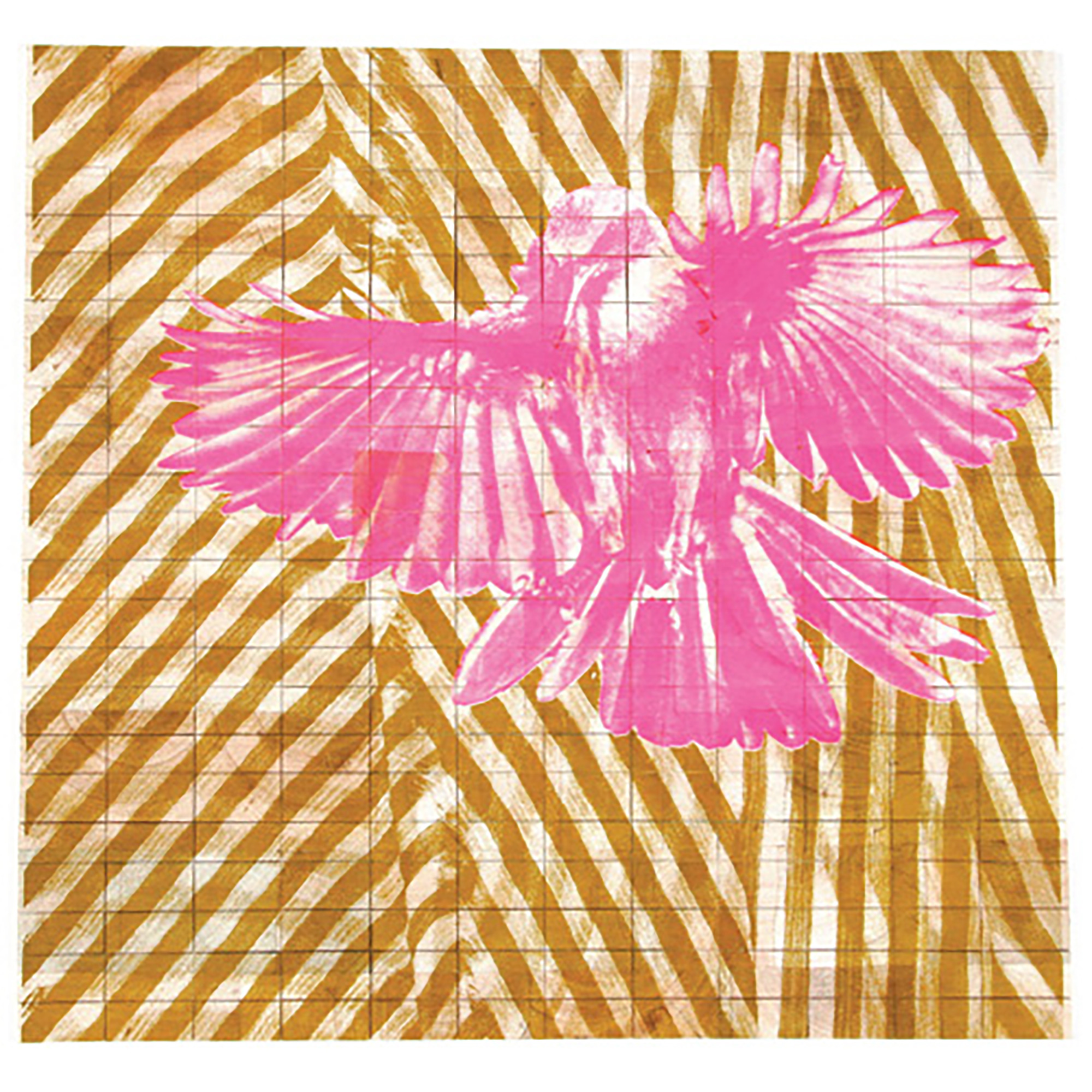 BALSA Scrubjay 2 Pink