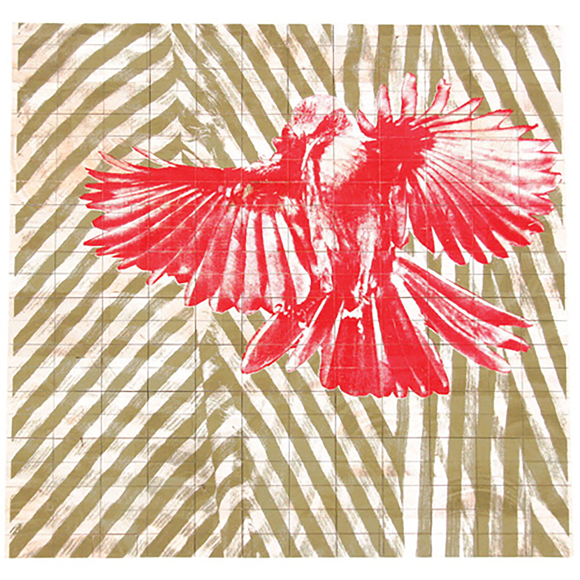 BALSA Scrubjay 3 Red