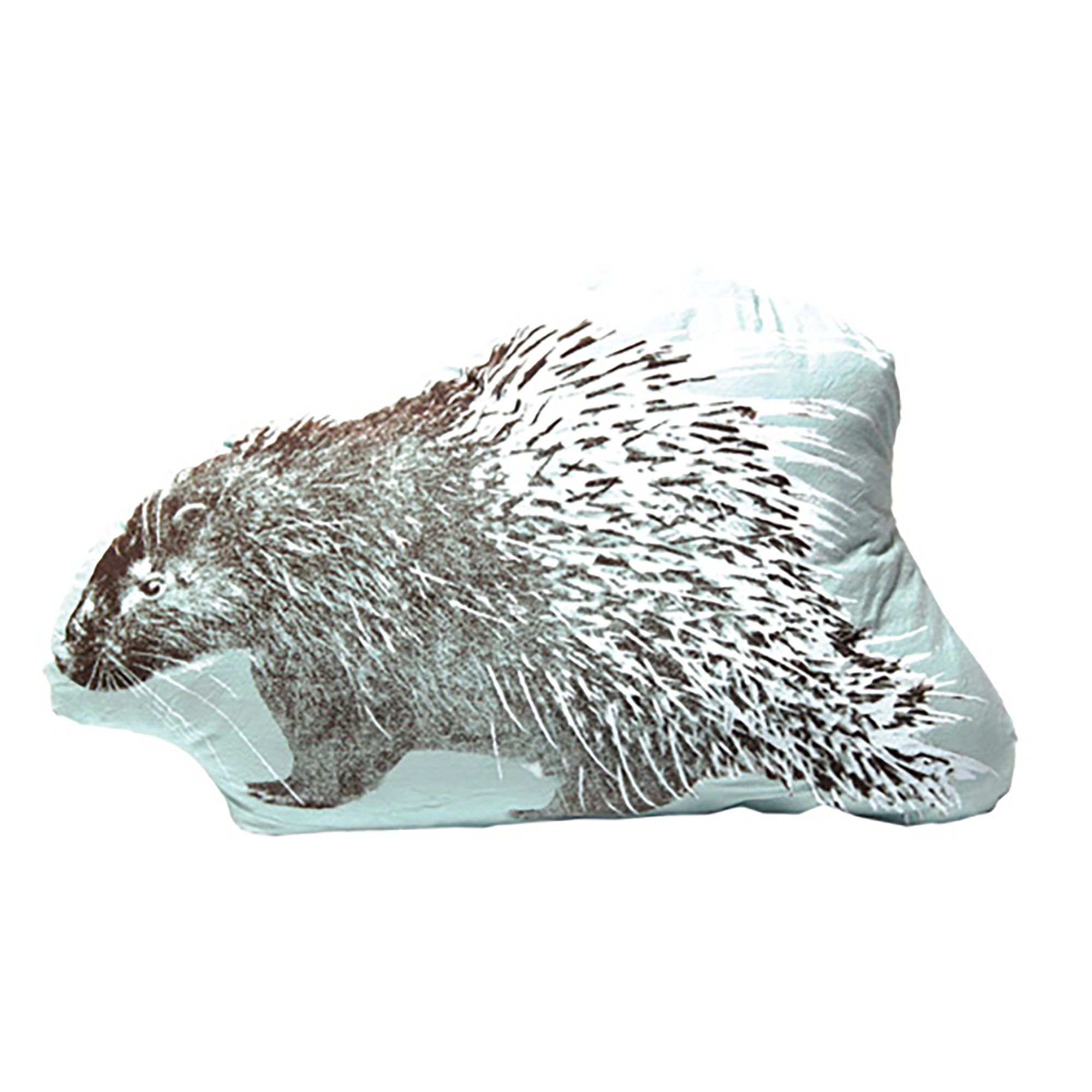 FAUNA Cushion Porcupine