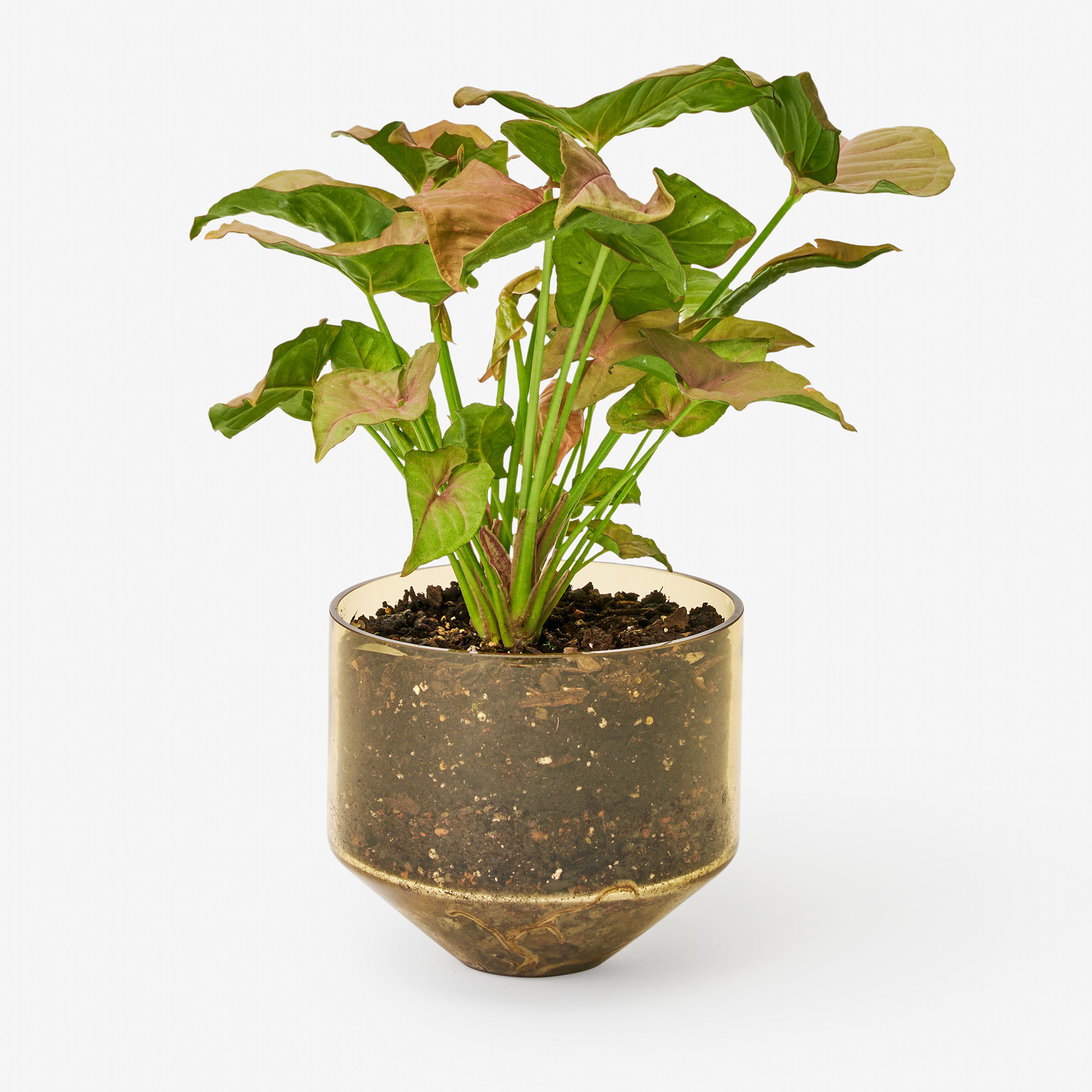 Model Three Planter Amber