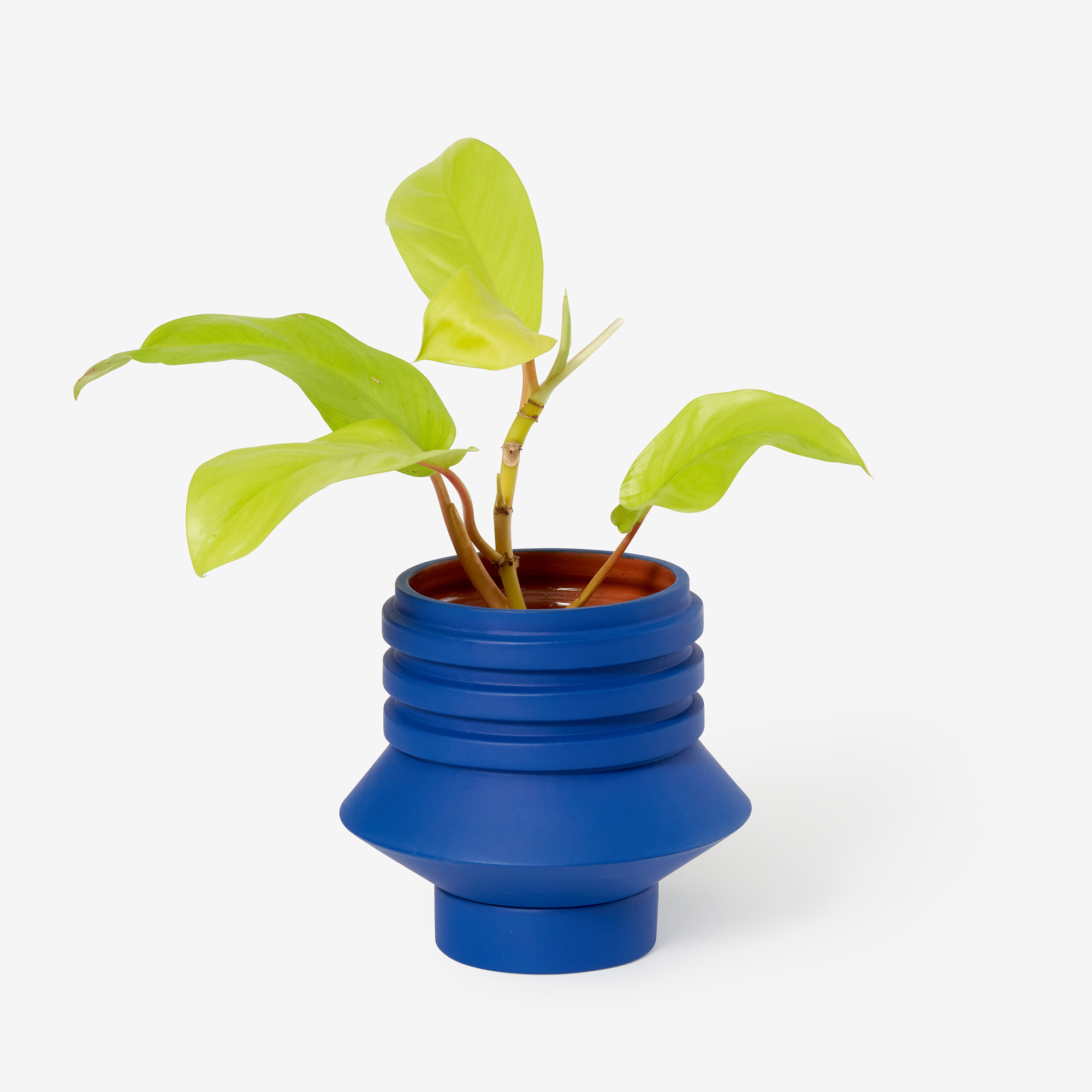 Strata Plant Vessel Blue