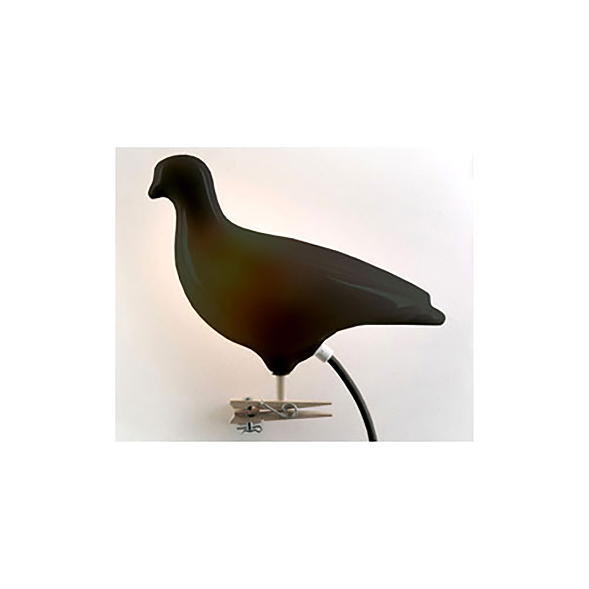 Pigeon Light Black