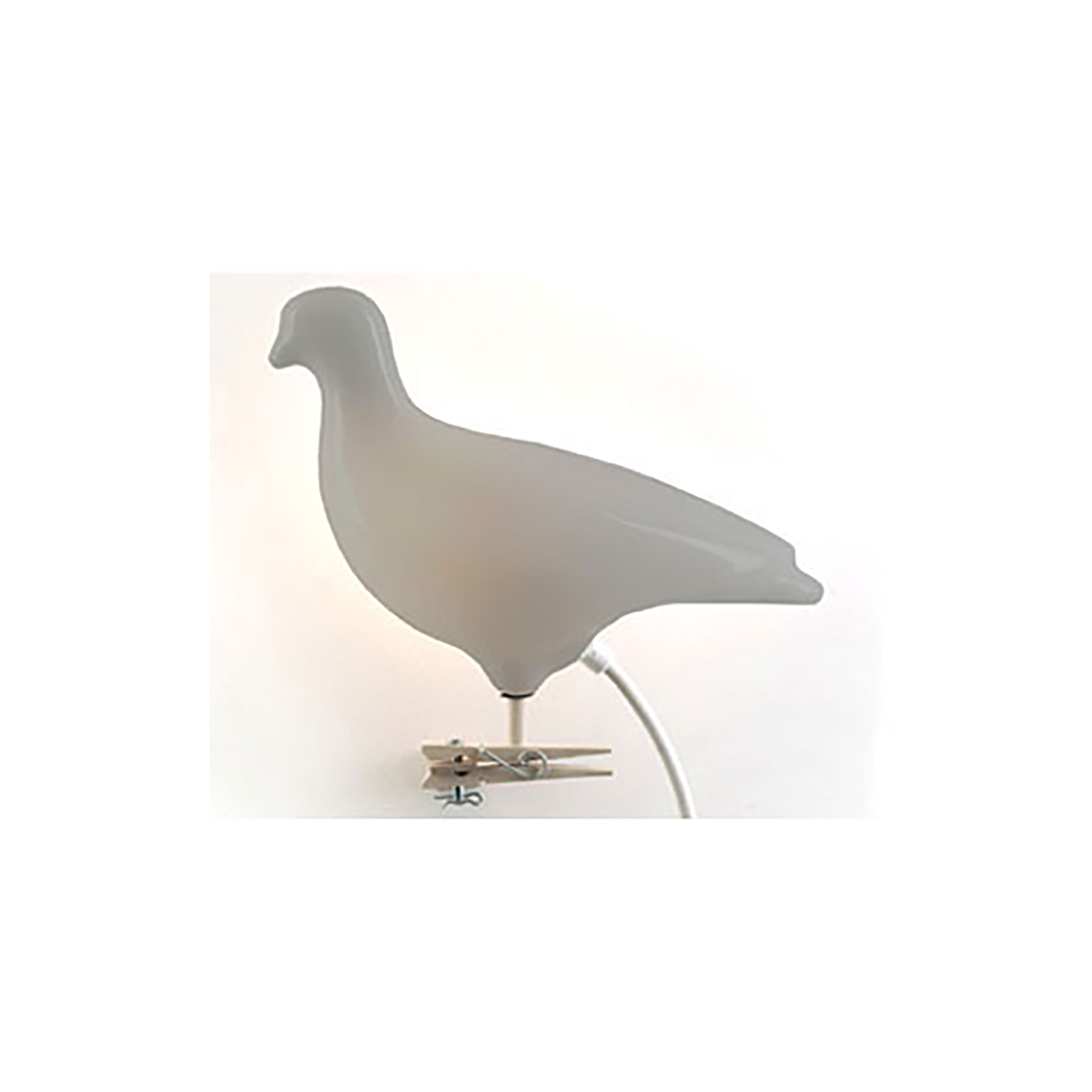 Pigeon Light Gray