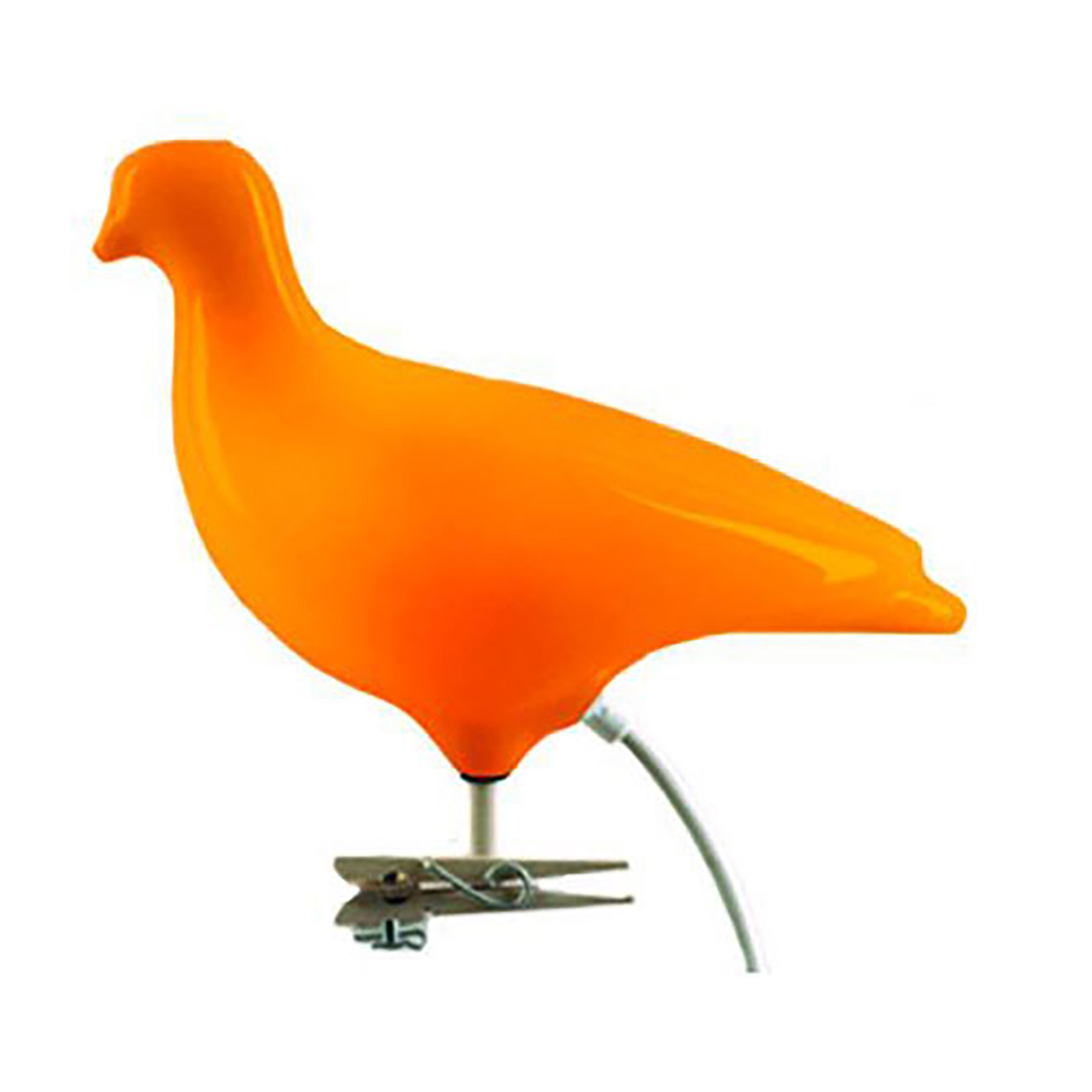 Pigeon Light Orange