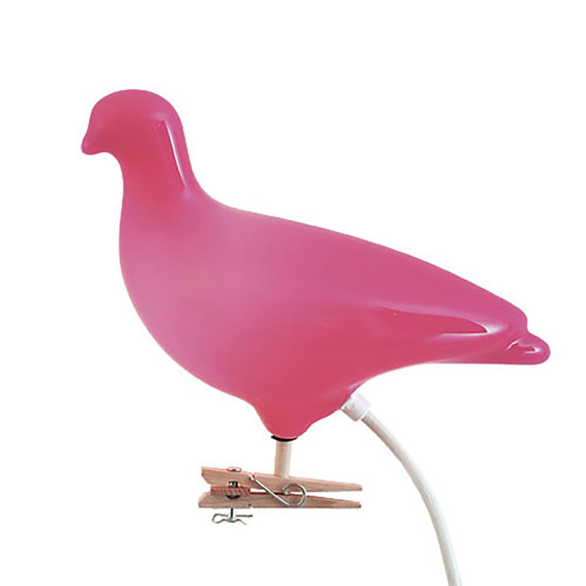 Pigeon Light Pink