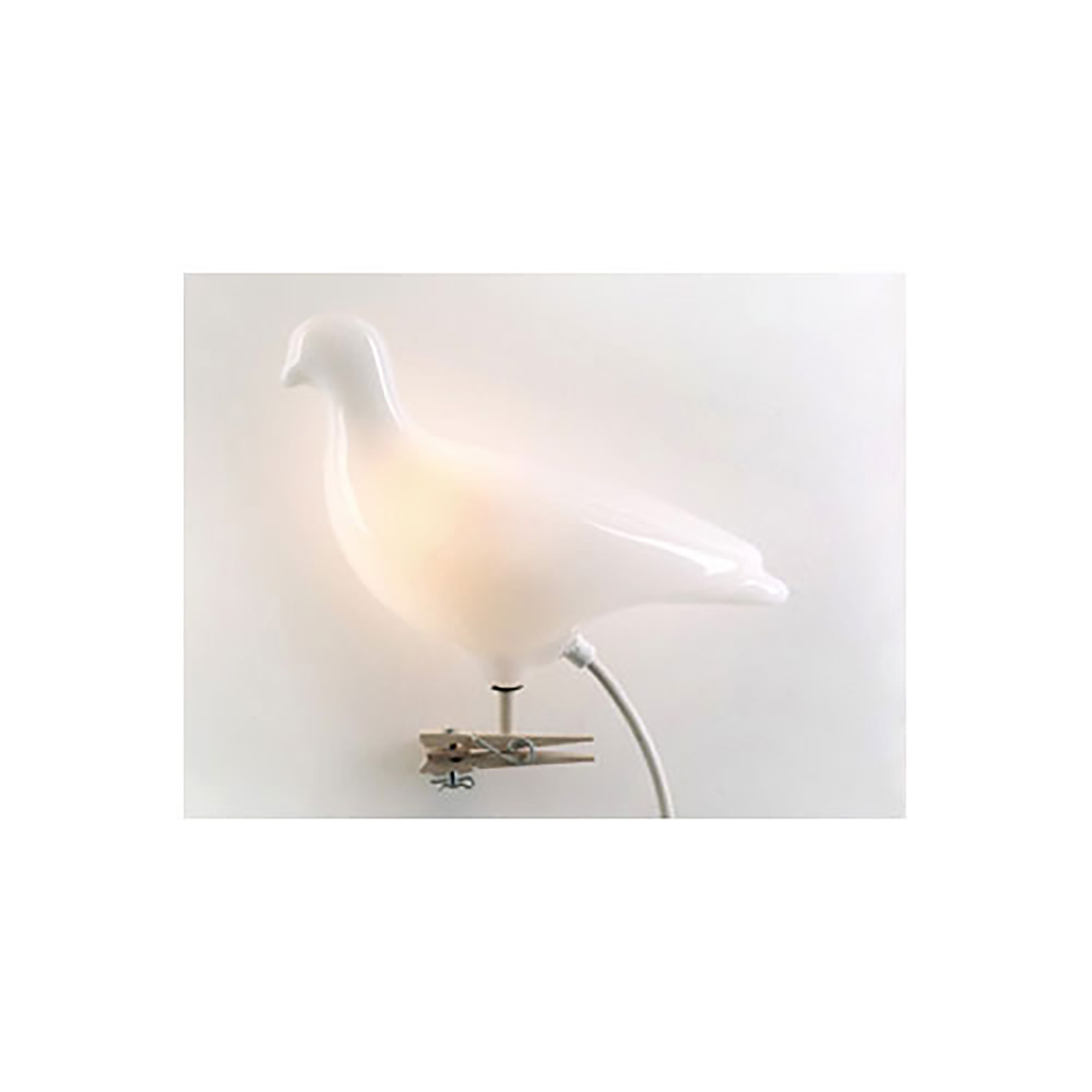 Pigeon Light White